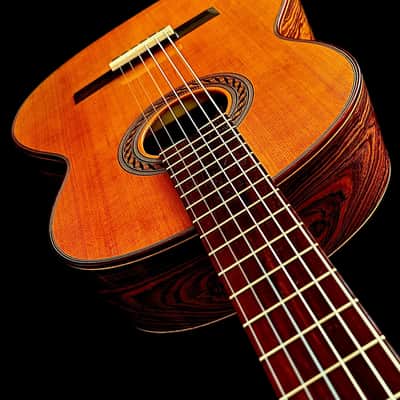 Benito Huipe Special Concert Guitar-Cedar/Exotic Bocote Master Grade image 13