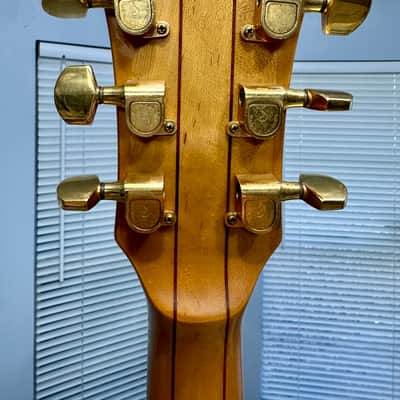 1978 Ibanez MC300 Musician, Natural image 9