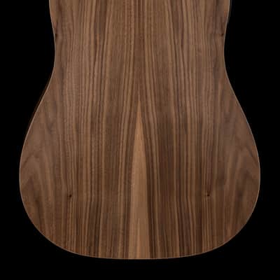 Taylor Big Baby Taylor (BBTe) #16071 (Demonstration Model) image 2