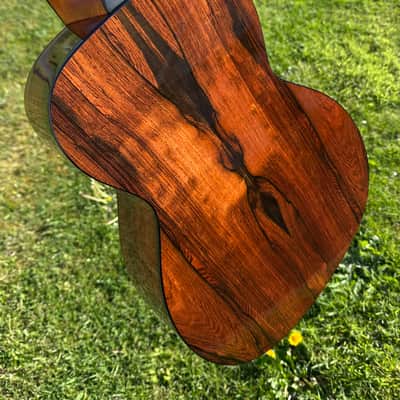 McNally Brazillian Rosewood P 12 Fret 2023 - Gloss body with satin Neck image 4