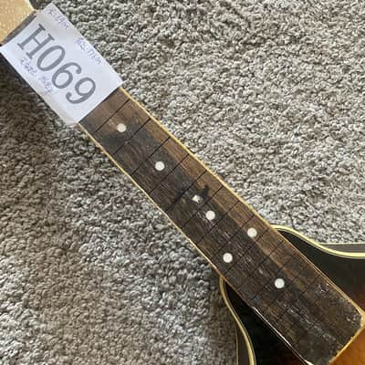 Sunburst 8 String Mandolin Project, Spruce Top, Mahogany Body, Rosewood Fingerboard image 2