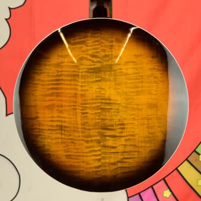 Epiphone Earl Scruggs Golden Deluxe Banjo (Incl. Hard Case) image 11