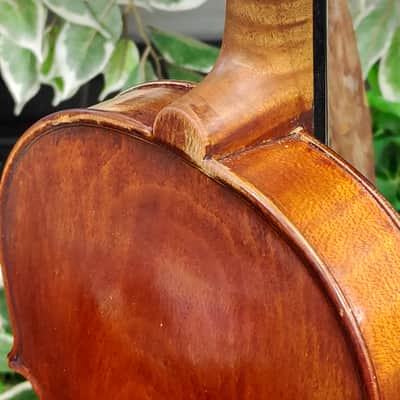 A.S. Hill (Seattle) Violin No. 82 — 1924 — Amber-Red — with German Workshop Bow & Case image 15