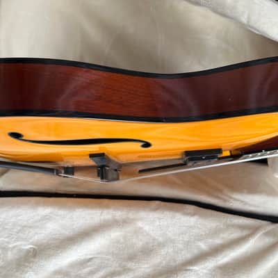Tim Bram Tribute thinline archtop custom built image 9