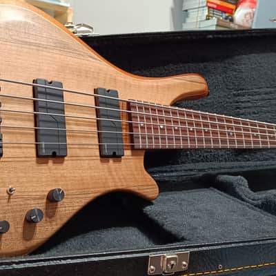 Corpus Buddy Bass 5 Strings - Lodato Guitars Handcrafted image 3