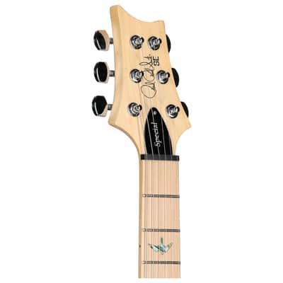 PRS Paul Reed Smith SE Swamp Ash Special Electric Guitar, Charcoal image 7