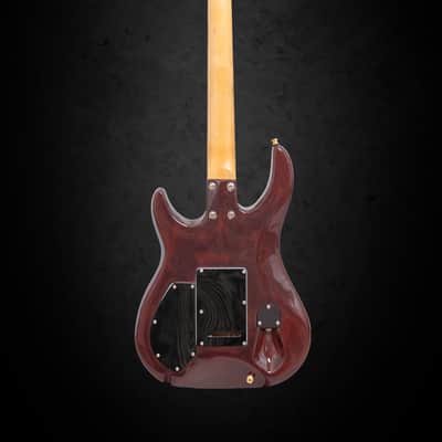 Brian Moore C55 USA Custom image 2
