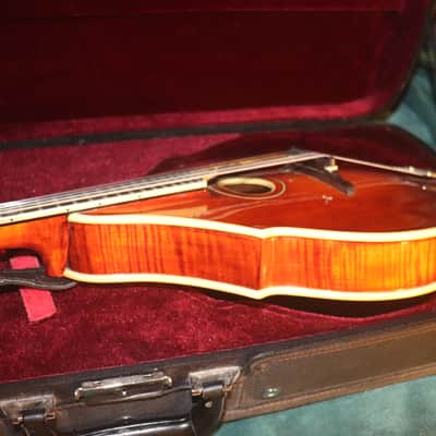 Eastman Mandolin DGM-2 Dawg Bacon copy modern vintage Bild 9