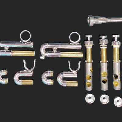 BERKELEY Raw Brass STD Eb/D Trumpet w/ Extra Silver D Bell 2019ish - SILVER PLATED image 16