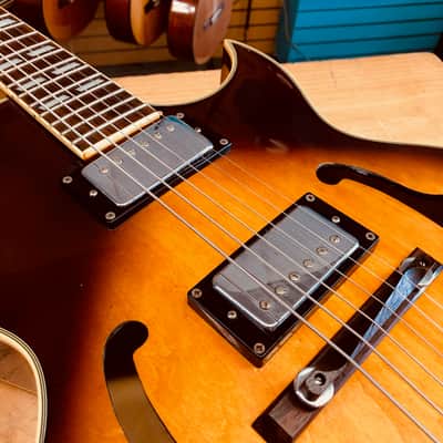 Jay Turser Hollow-body Jazz Box Electric Guitar image 3