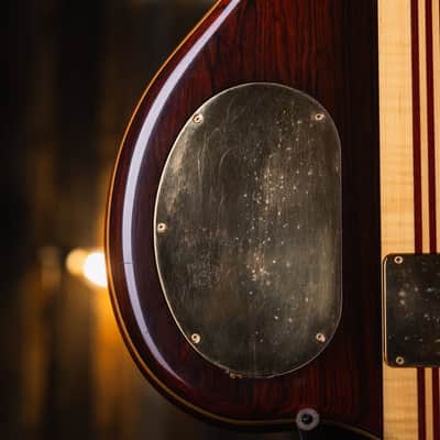 Alembic Serie II Cocobolo 1993 image 13