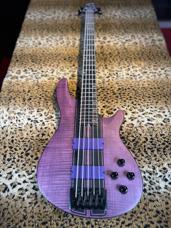 Schecter C-5 GT 2022 - Present - Satin Trans Purple image 1