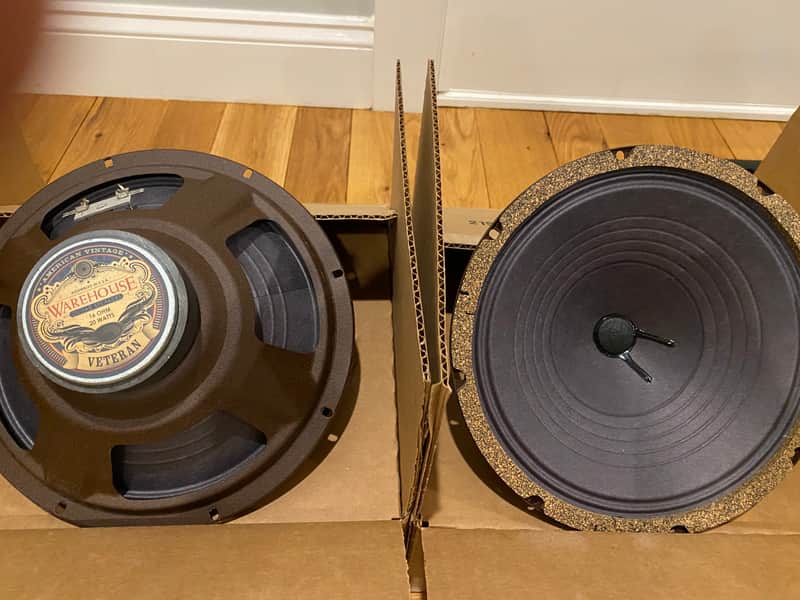 Pair Warehouse Guitar Speakers WGS 10" Veteran 16 Ohm image 1