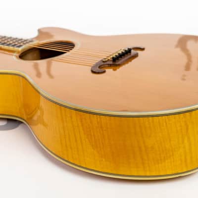 Daion The Year Series '81 Caribou - Tinted Tan (TAN) - Electric Acoustic Six String image 20