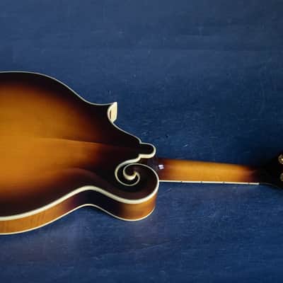 Epiphone 1983 Epiphone MM-50 image 3