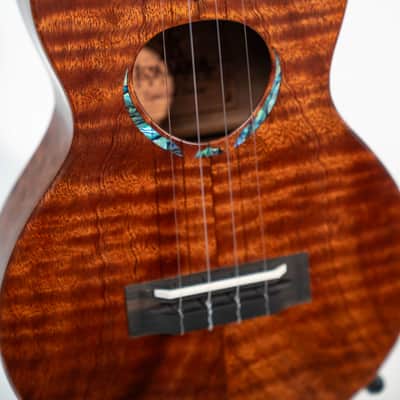 Special Issue KoAloha KCMR-10SI Curly Sapele Rosette Concert Satin Ukulele image 4