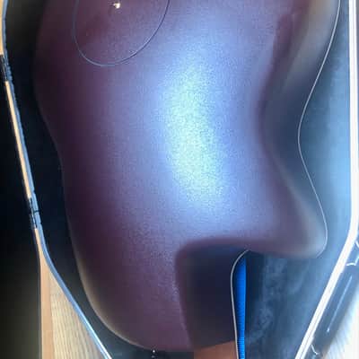 Ovation - USA Collector’s ‘98-NEB 1998 - New England Burst image 5