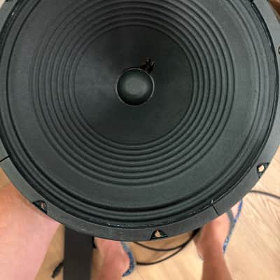 Jensen Speaker, Green, 12-Inch (P12Q8) image 2