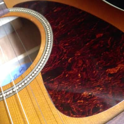 Seagull Entourage Rustic Acoustic Guitar image 5
