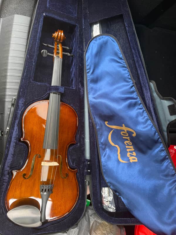 Forenza Viola 2013 image 1