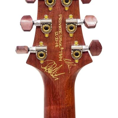 PRS Private Stock #7834 Custom 22 Rainforest w/ Purple heart neck image 5