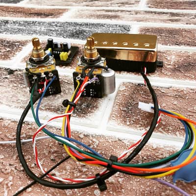 Veyz Sustainer Pickup System - Reversed Can Humbucker Design Gold Finish | Hosco Japan Push Push Potentiometer | Not A Sustainiac Stealth Pro Nor Fernandes Sustainer | image 7