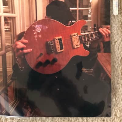 Hamer Sunburst 1979 -Sunburst image 13