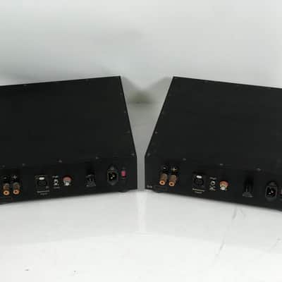 Gilmore Audio Raptor 300D Monoblock Amplifier Pair image 8