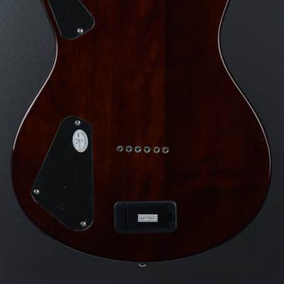 Michael Kelly Hybrid Special - Spalted Maple Burst image 4