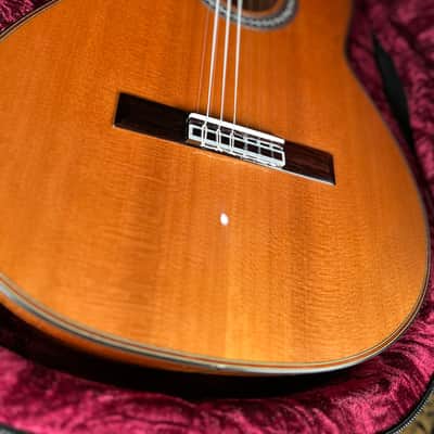 Cordoba C9 Nylon String Acoustic Guitar Natural image 2