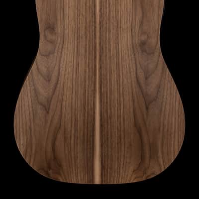 Taylor Big Baby Taylor (BBTe) #36085 (Demonstration Model) image 2