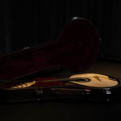 Pedro Santos 8-String Mandolin | Brazil 2024 image 4