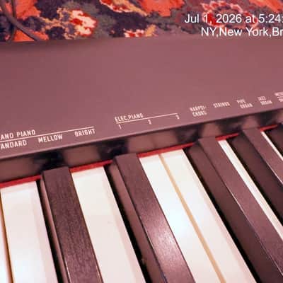 Casio CDP-S110 88-Key Weighted Piano Bundle - Premium Quik Lok Stand & Korg DS-1H Pedal image 6