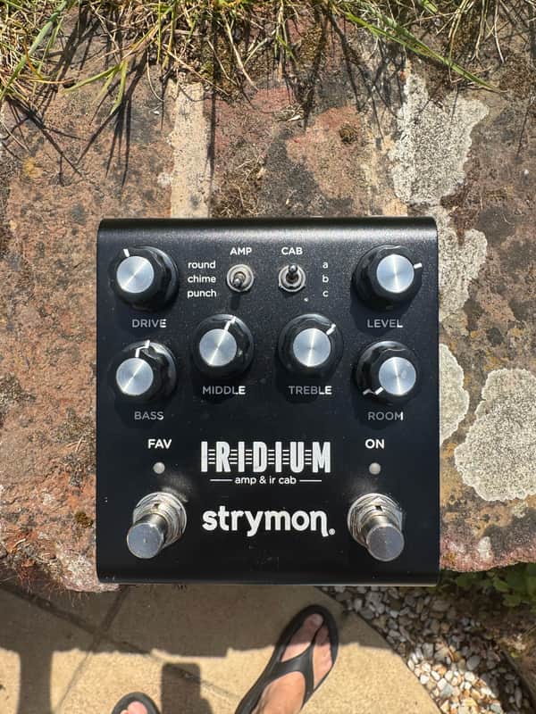 Strymon Iridium