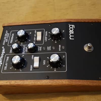 Moog Moogerfooger MF-104z Analog Delay mf104 mf 104 mf104z image 3