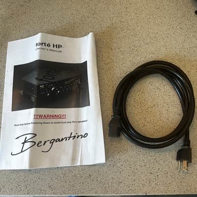 Immagine Bergantino  Forté HP Bass Amplifier - 6