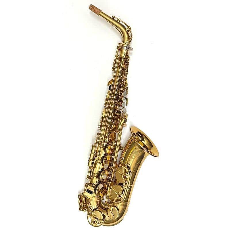 YAMAHA USED ​​Yamaha Alto Saxophone YAS-875EX (Current Model) S/N F53xx2 [Shipped after adjustment & setup] [5 years of free key balance adjustment] image 1