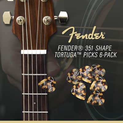 Fender 6 String Acoustic-Electric Malibu Player Guitar, Right image 4