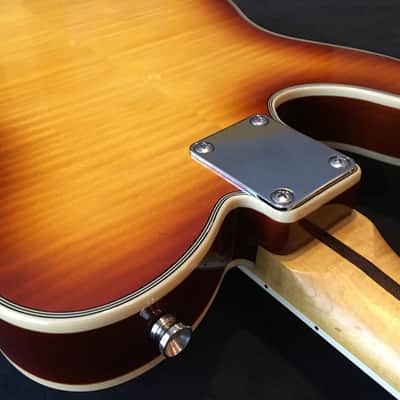 PT BERGER "BAKERSFIELD" RODEO DeLUXE Custom Thinline Tele Hybrid DoubleAAA Vintage Iced Tea Boutique image 12
