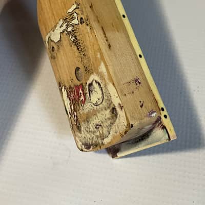 2000's Japan Jackson DKMG Reverse Bound Piranha Teeth Guitar Neck 24 Fret image 21
