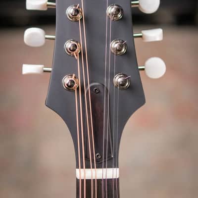 Eastman MD305 A-Style Mandolin - Classic with Gig Bag image 5