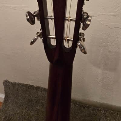 Eastman 10P-SB Parlor - Sunburst image 11