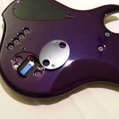Dingwall Leland Sklar Signature 5 string .  I AM PUTTING THIS BASS ON E-BAY. Make an Offer Before A Bidding Match Begins. image 4
