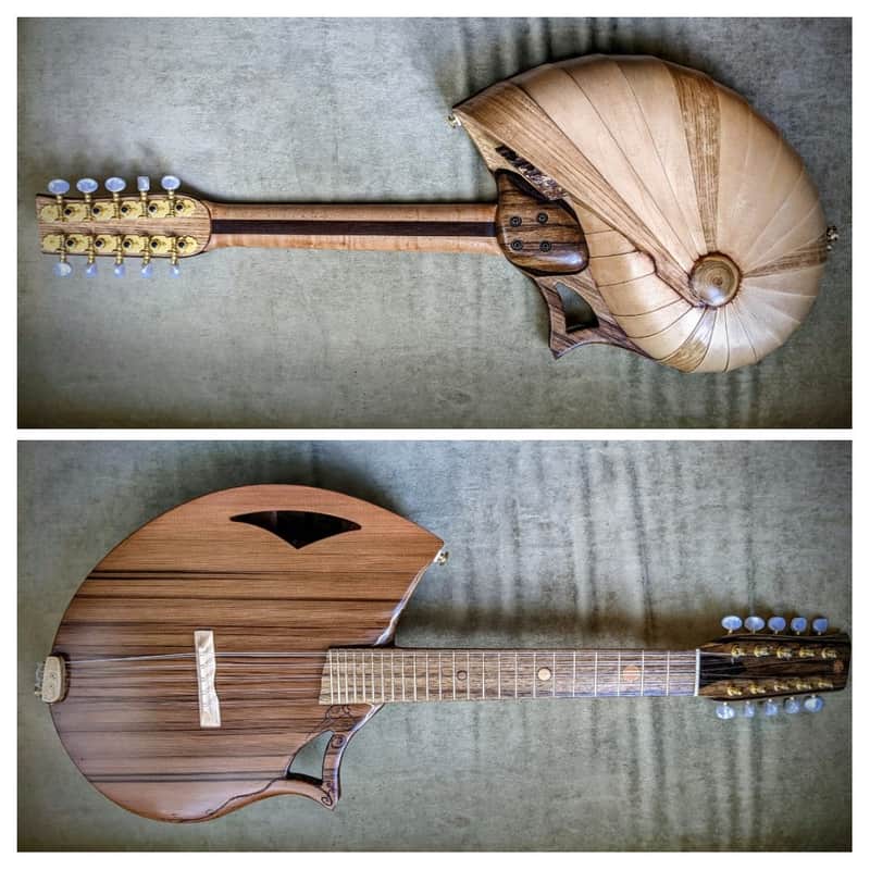 Raysrootworks 10 string shell back tenor ukulele. image 1