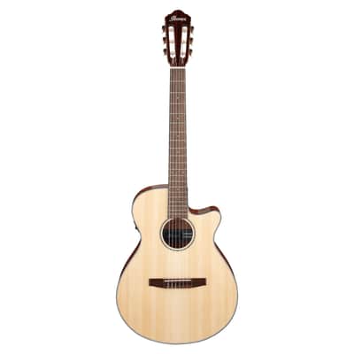 Ibanez AEG50N NT Nylon String - 4/4 classical guitar image 2