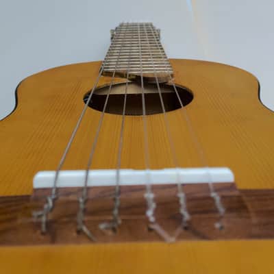 Yamaha Guitalele w/ pro LR Baggs FIVE.O Pickup - GL-1 6-String Ukulele image 17