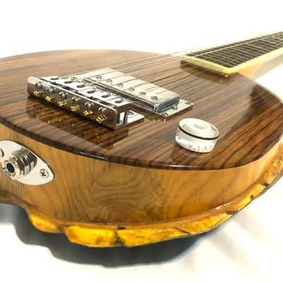 Turtle Shell Electric Guitar image 7