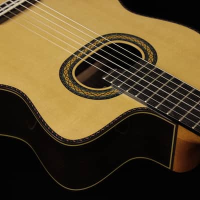 Takamine TH90 Hirade (#973) image 5
