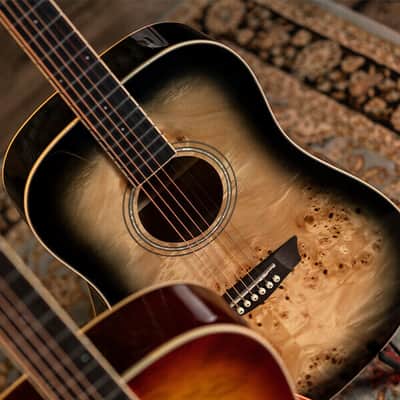 Washburn DFBDB Deep Forest Burl Collection Dreadnought Acoustic Guitar-Black Fade Gloss image 4
