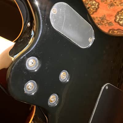 Peavey EVH Wolfgang Special EXP image 6